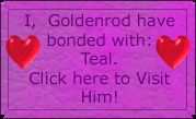 Link to Goldenrod's Lifemate, Teal
