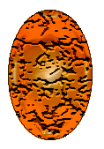 Blink'n as an Egg