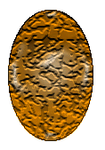 Meara as an Egg