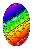 Orion as an Egg